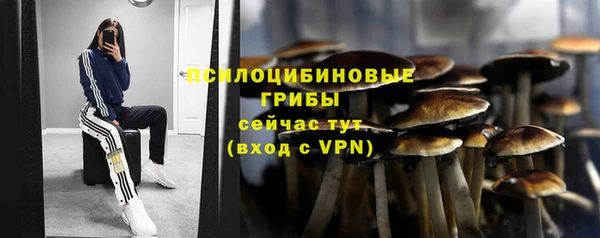 спайс Алексеевка