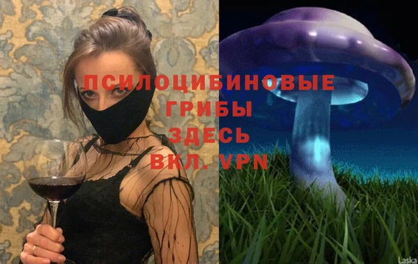 spice Абинск