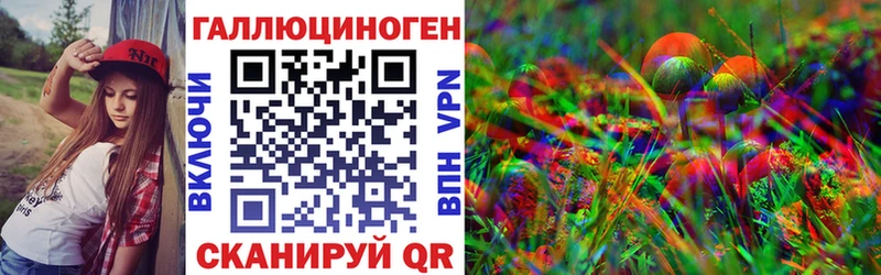 закладки  Тайга  Галлюциногенные грибы ЛСД 