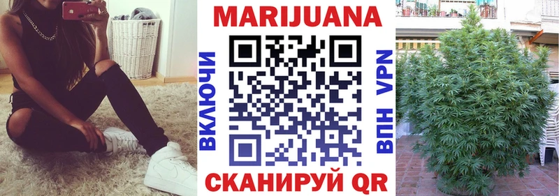 Бошки марихуана ГИДРОПОН Тайга